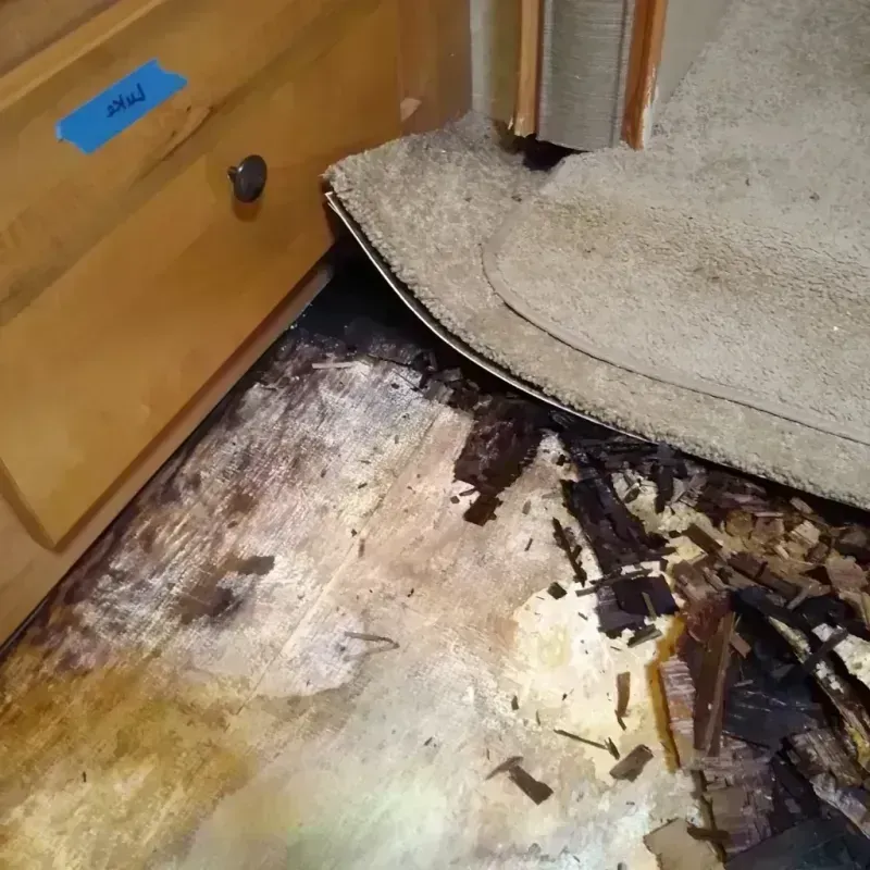 Best Wood Floor Water Damage Service in Ferron, UT